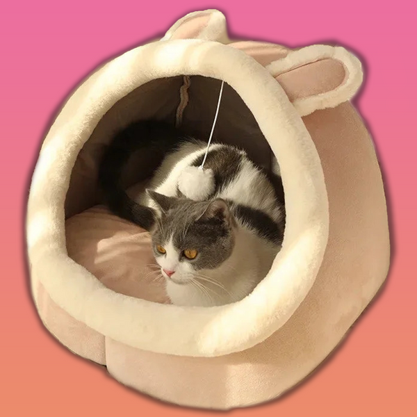 Spielhöhle: Katzenbett mit Hasenohren