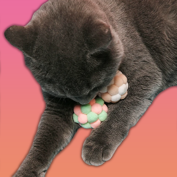 Schäfchen Bälle: Bundle mit 6 weichen Woll-Spielbällen für stundenlangen Katzenspaß!