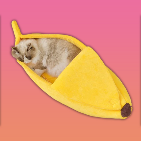 Banane: Faltbares Katzenbett für Katzen