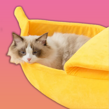 Banane: Faltbares Katzenbett für Katzen