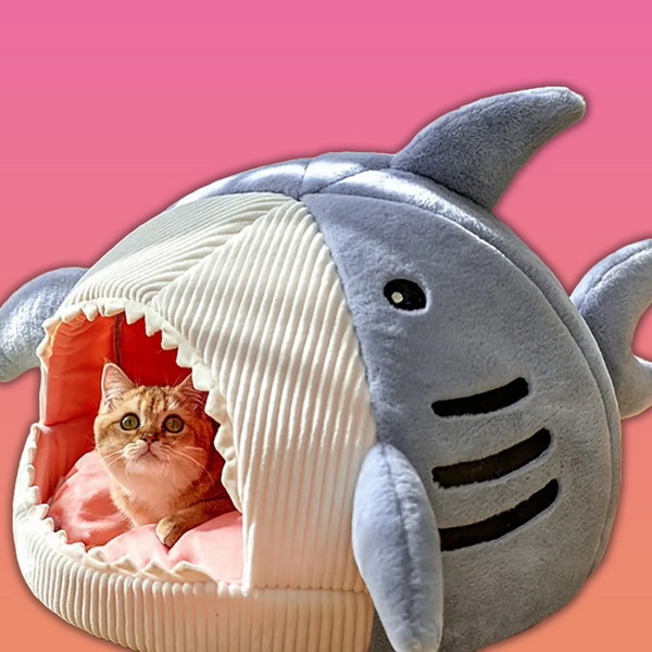 Haifisch-Höhle: Gemütliches Katzenbett mit weichem Kissen für ultimativen Schlafkomfort!