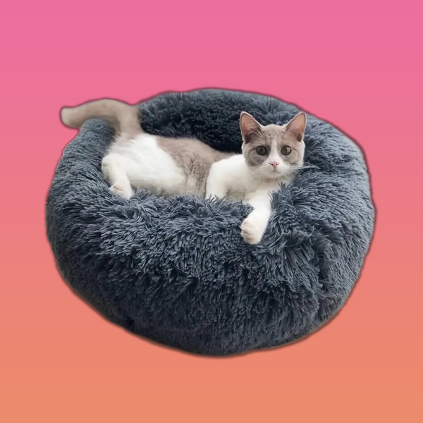 Traumwolke: Rundes, flauschiges Katzenbett für traumhaften Schlaf